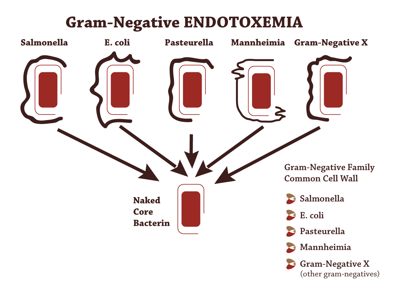 Gram-Negative-ENDOTOXEMIA_Graph