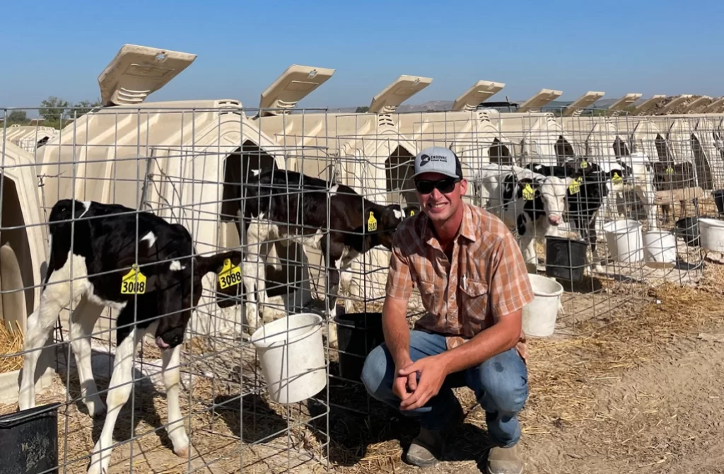 Alex Prins at Double P Dairy with calves