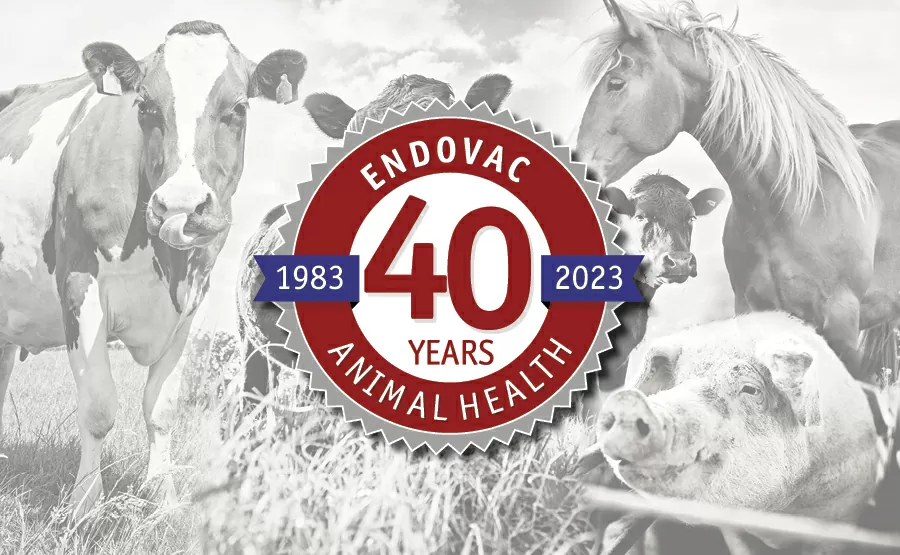 Endovac 40 Years of Animal Health Hero Image